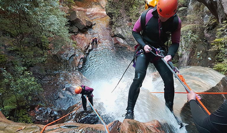2 people in wetsuits descend on ropes past a waterfall into a steep canyon. Photo credit: James Waddell &copy; Eagle Rock Adventures