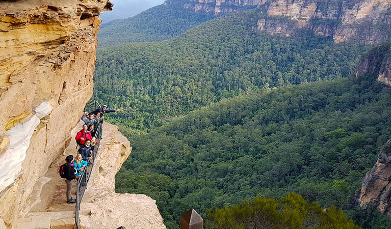 Hikers look out over a vast wilderness from steps along a cliff face in Blue Mountains National Park.  Photo &copy; Emu Trekkers