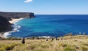 Group of people walking along The Coast Track with view of ocean and headlands in background. Credit: Emu Trekkers &copy; Emu Trekkers