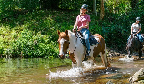 A pair of women on horseback make a river crossing.  Photo credit: Andrew Cooney &copy; Glenworth Valley Outdoor Adventures