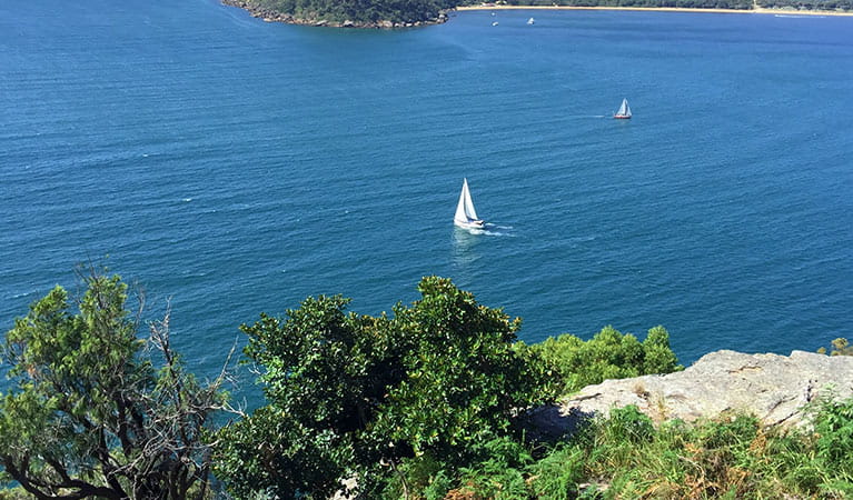 View of 2 sailing boats on the blue waters of Pittwater estuary, Ku-ring-gai Chase National Park. Photo credit: M Bryant &copy; Go Beyond Tours