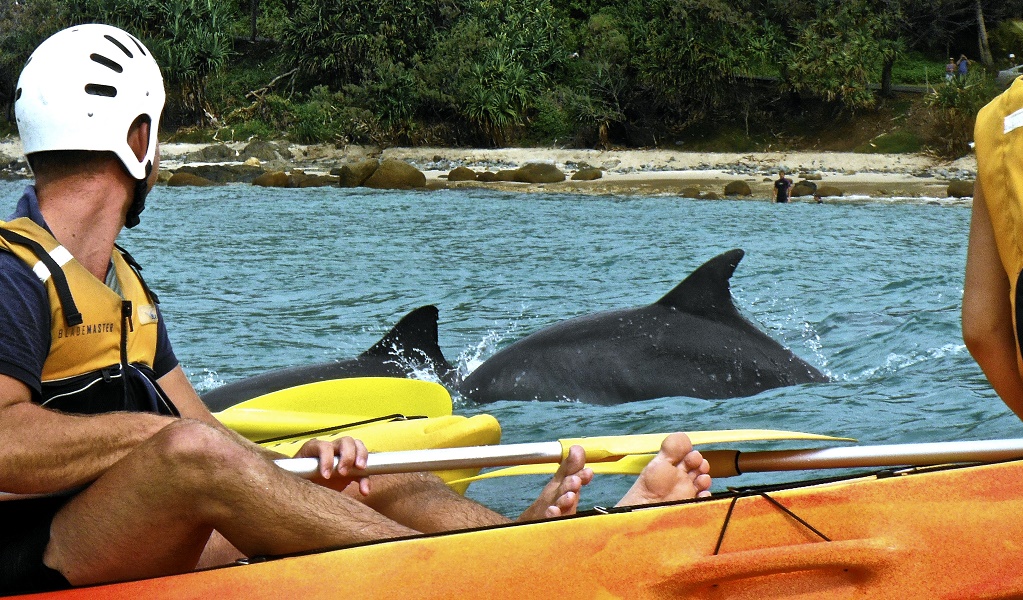 Person enjoying a close-up dolphin encounter while on tour with Go Sea Kayak Byron Bay. Photo: Kurt Tutt &copy; Go Sea Kayak Byron Bay