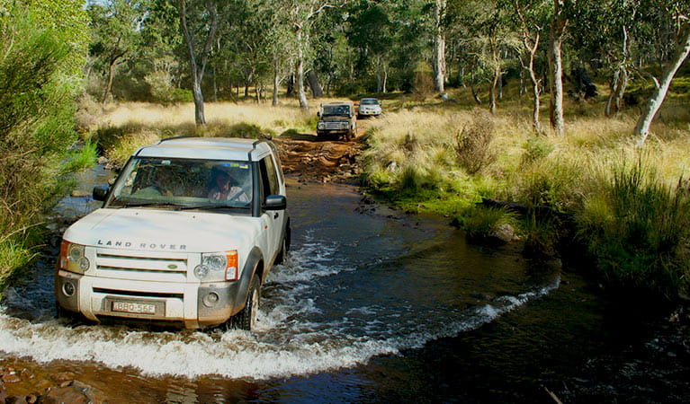 A 4WD vehicle makes a river crossing in Barrington Tops National Park. Photo credit: Vic Widman &copy; Great Divide Tours