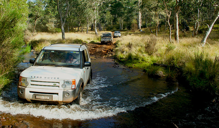 A 4WD vehicle makes a river crossing in Barrington Tops National Park. Photo credit: Vic Widman © Great Divide Tours