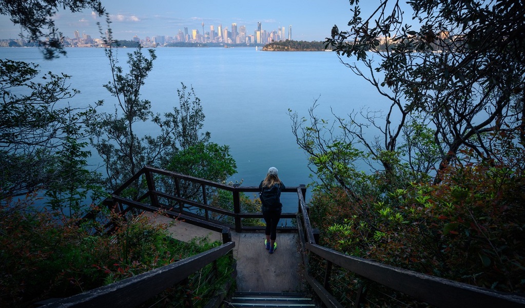 Walker takes in views of Sydney Harbour and the city skyline on a Harbour Trax tour. Photo: Shaun Mittwollen &copy; Harbour Trax