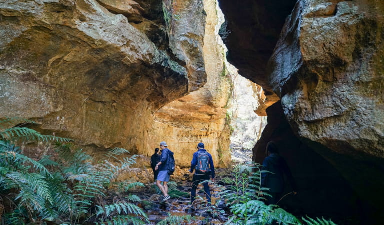 Hikeandseek NSW guided tour in Wollemi National Park Photo: Dan-il Jee &copy; Hikeandseek NSW