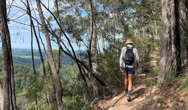 A man walking through Nightcap National Park. Photo &copy; Hinterland Hikes