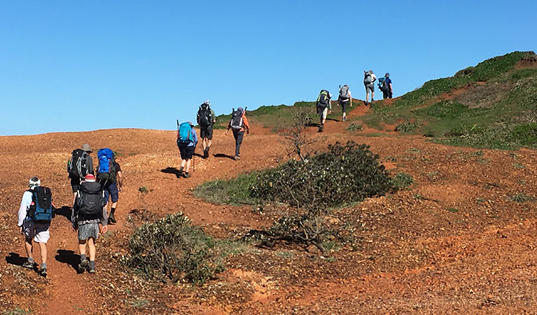 Hikers walk across open heathland in Yuraygir National Park. Photo credit: Marcus Ludriks © Home Comforts Hiking