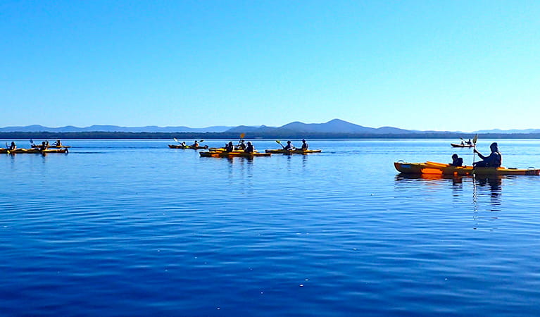 Tour group with people in double kayaks on calm waters in Myall Lakes National Park. Photo &copy; Lazy Paddles