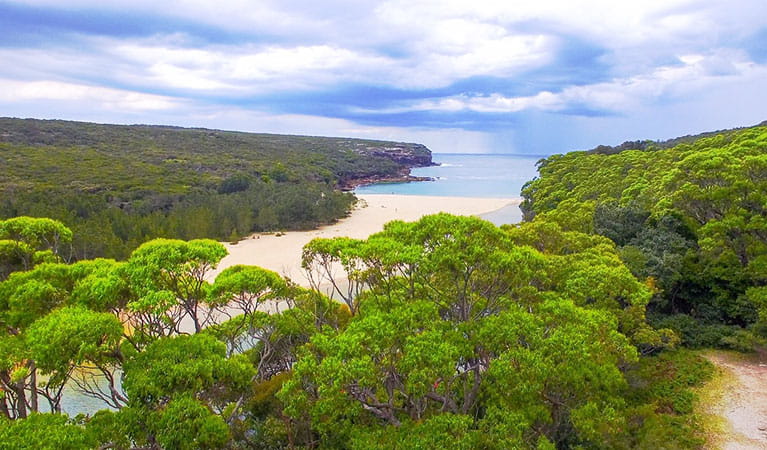 View of Wattamolla with coastal bushland and sandy beach in the Royal National Park, near Sydney. Photo &copy; M8 Explorer