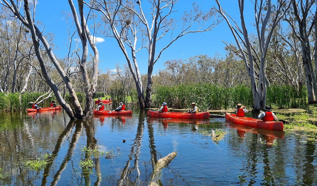 Tour group glides through the water in Macquarie Marshes Nature Reserve. Photo: Bron Powell &copy; Macquarie Marshes Kayak Tours