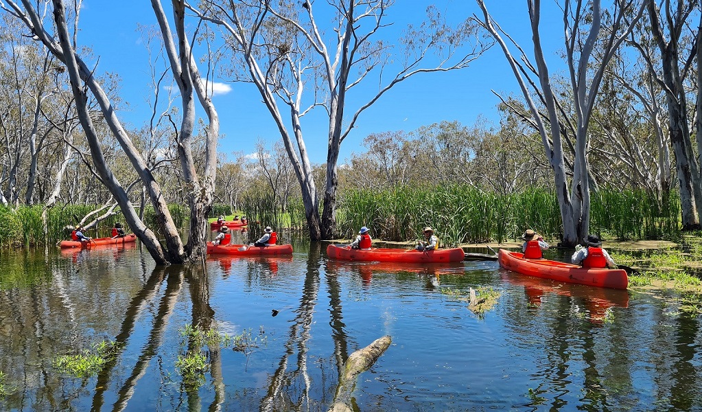 macquarie marshes tour