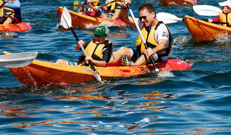 View of man and boy paddling an orange double kayak, with more kayakers in the background. Photo &copy; Manly Kayak Centre