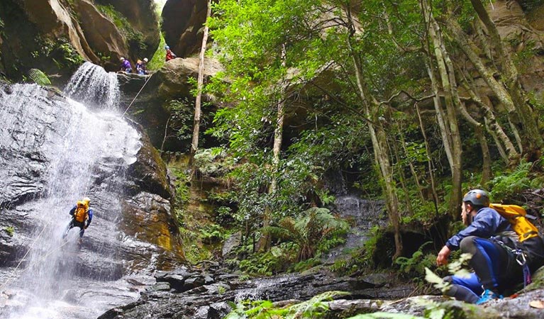 A man watches on as another person descends by rope down a waterfall and into a canyon. Photo credit: Kerry Fragar &copy; Perspective Photography