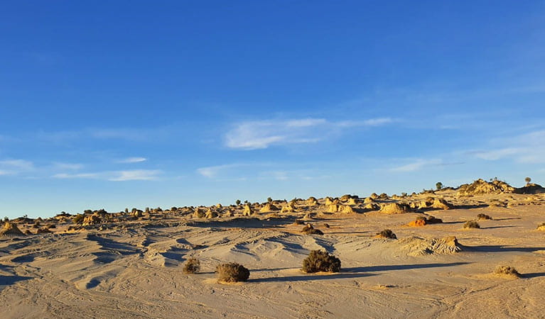 Landscape of small sculpted hills, or lunettes, on the shores of a dry lake in Mungo National Park. Photo credit: Gregory Woods &copy; Mungo Guided Tours