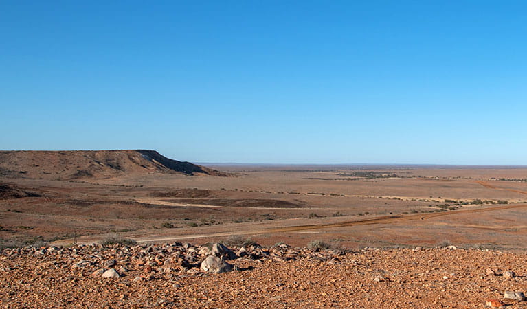 A vast stretch of flat outback landscape at NSW's Corner Country. Photo: &copy; My Expedition