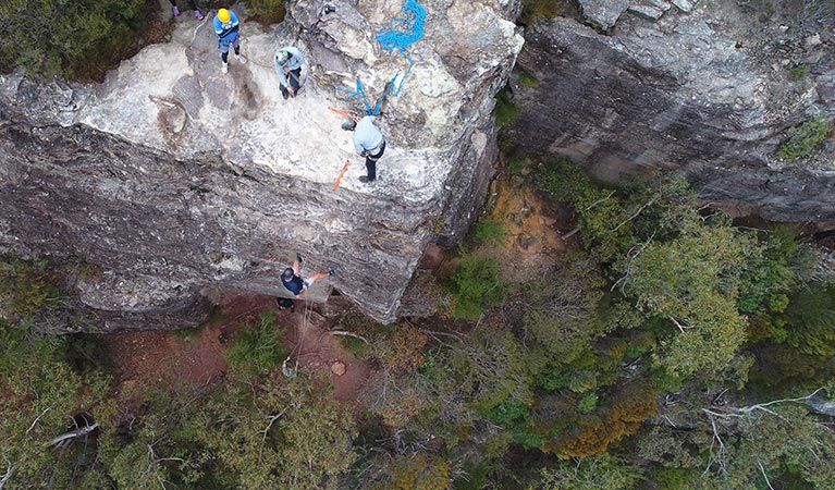 People stand atop a steep cliff as another person climbs with the aid of ropes, in bushland surroundings. Photo &copy; MyAdventure Group