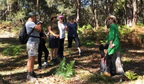 A group of hikers gather around tour guide perched on tree stump. Photo credit: Alex Musgrove &copy; Nature Being Australia.