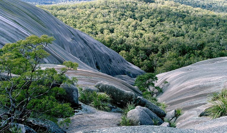 Rock formations in Bald Rock National Park. Photo credit: John Thompson &copy; Nature Bound Australia