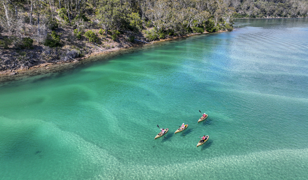 Aerial view of 4 kayakers in Beowa National Park. Photo: &copy; Jessica Taunton