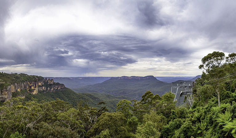 The scenic view of plateaus and bushland from a lookout in Morton National Park. Photo &copy; O'Shannessy's Quality Tours