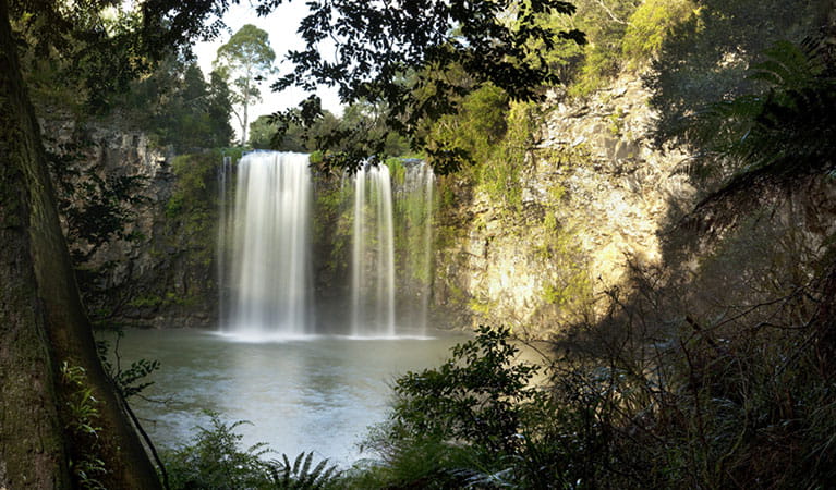 A view through trees of a waterfall cascading into a pool. Photo: Graeme McGregor &copy; ParkTours