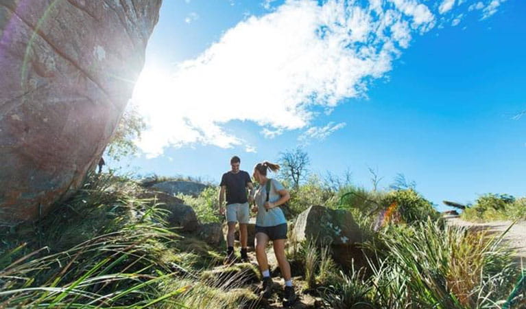 A couple walking downhill along a walking track surrounded by grasses, with blue sky and sun in the background. Photo credit: Ben Barry &copy; Personalised Sydney Tours