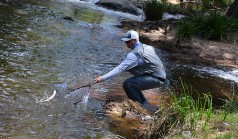 Man fishing in Blue Mountains National Park. Photo: Grant Hilder &copy; Reel Fly Fishing