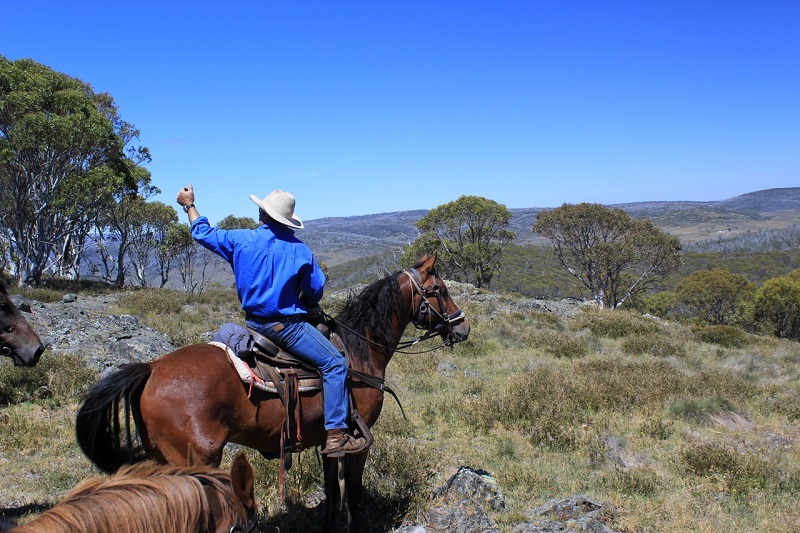 Horse riding safari in Kosciuszko National Park. Photo &copy; Roslyn Rudd