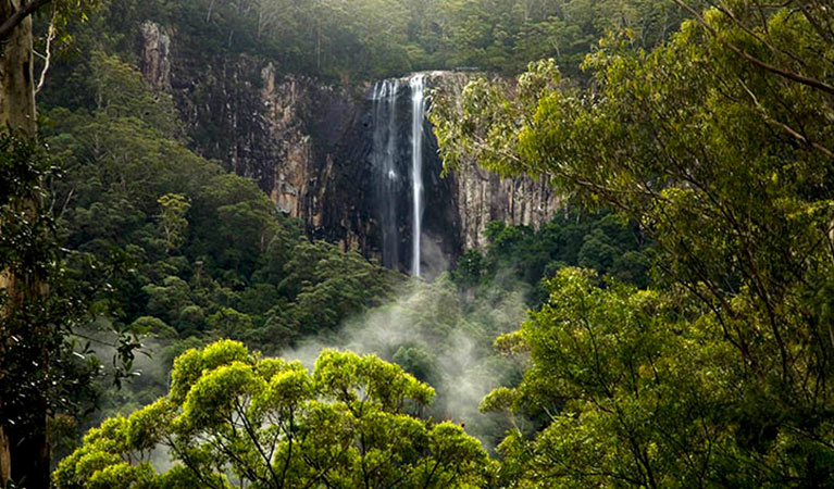 View of sheer cliffs and waterfall in a misty rainforest setting. Photo &copy; Rise Up – Byron Conscious Tours