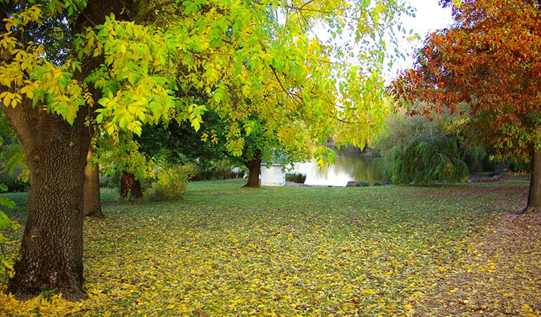 The gardens of Monaro in autumn. Photo &copy; Ross Garden Tours