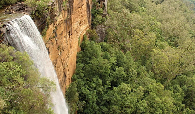 Water cascades over the top of a cliff at Fitzroy Falls. Photo credit: John Yurasek &copy;  DPIE