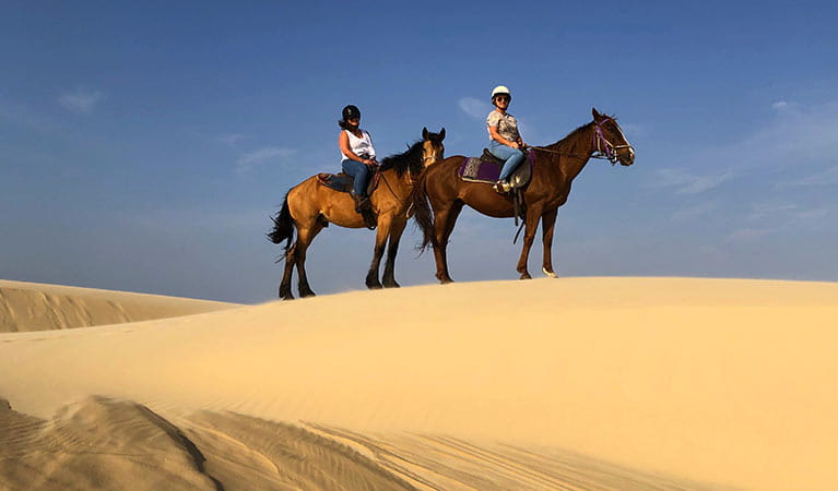 2 riders on horses stand on a high dune, against a backdrop of dunes and blue sky. Photo credit: Emily Sansom &copy; Sahara Trails Horse Riding