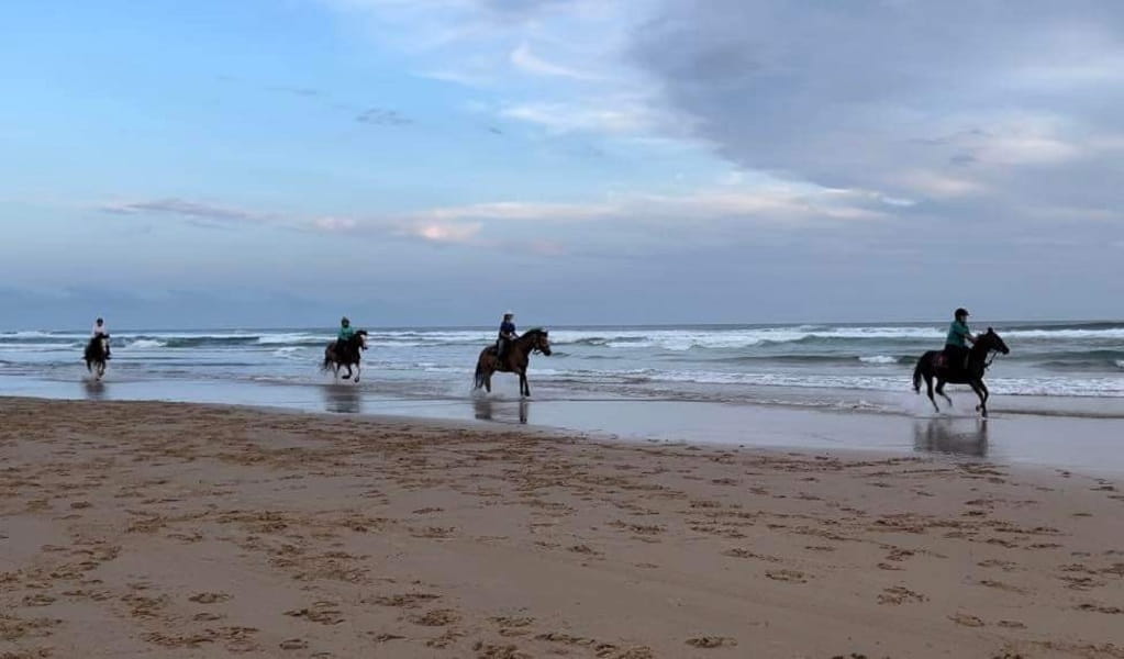 A group of people riding horses along the shoreline on a Sahara Trails tour. Credit: Imogyn Allardice &copy; Sahara Trails