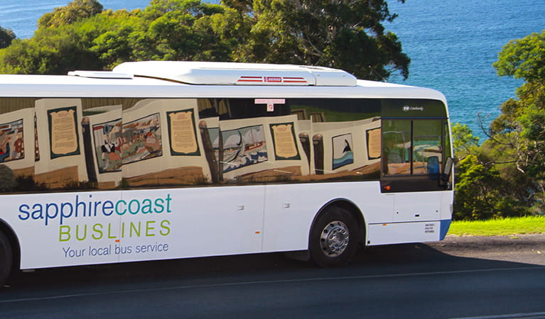 View of bus emblazoned with Sapphire Coast Buslines logo on a coastal road. Photo &copy; Angi High