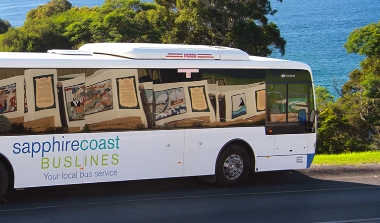 View of bus emblazoned with Sapphire Coast Buslines logo on a coastal road. Photo © Angi High