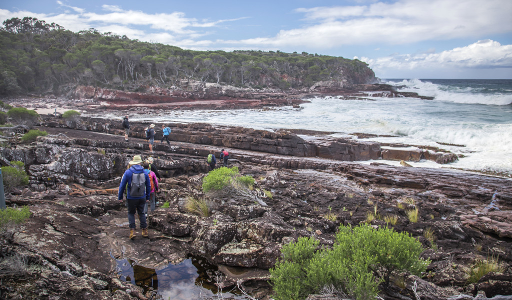 Walkers enjoying a guided tour with Light 2 Light Coastal Walks in Beowa National Park. Photo: Destination NSW &copy; Destination NSW