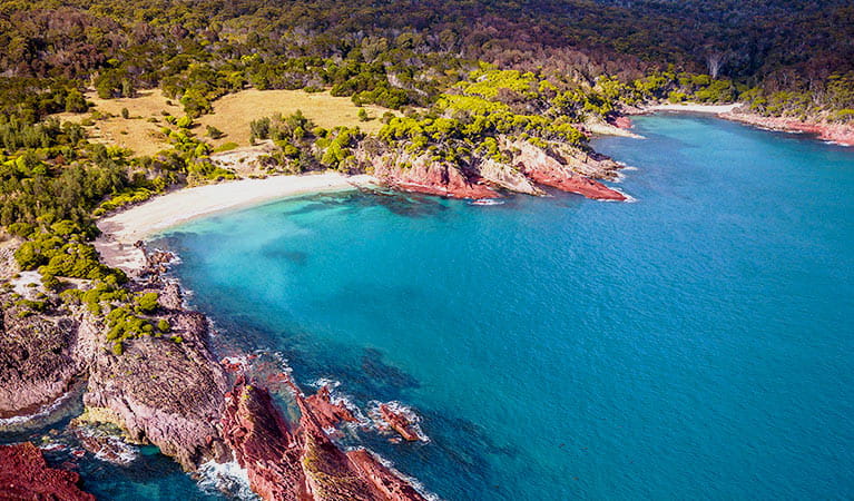 Aerial view of coastline showing beaches, bushland and rocky shores in Ben Boyd National Park. Photo &copy; Sapphire Coast Guiding Co