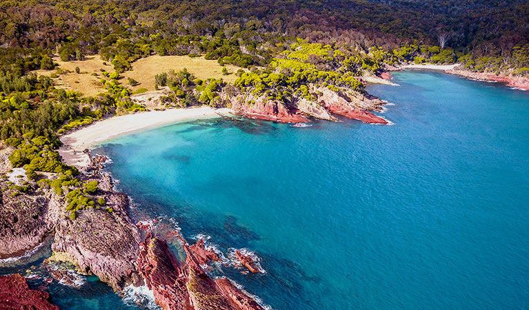 Aerial view of coastline showing beaches, bushland and rocky shores in Ben Boyd National Park. Photo © Sapphire Coast Guiding Co