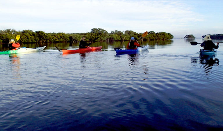 View of 4 paddlers in kayaks crossing a calm lake and bushland along the shores. Photo credit: Glenn MacFadyen &copy; School of Yak