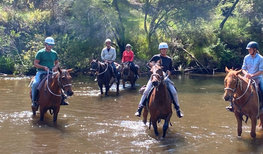 A group of people riding horses through a creek on a guided tour with Snowy Wilderness in Kosciuszko National Park. Photo: Justin MacIntosh &copy; Snowy Wilderness