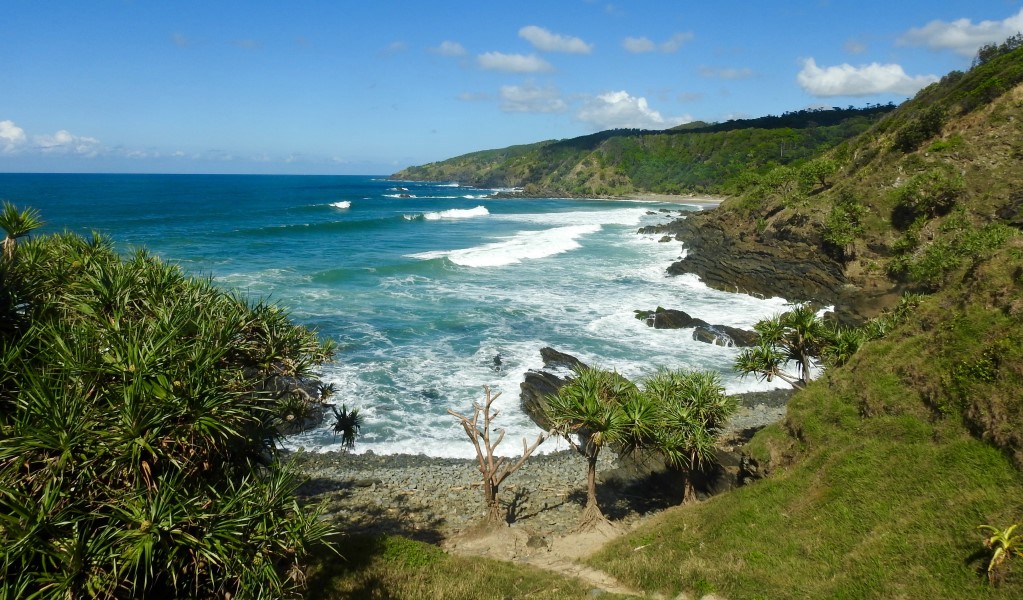 A lush green coastal headland with ocean views of secluded beaches on a tour with Soul Connect Nature Tours Byron Bay in Broken Head Nature Reserve. Photo: Matthew Ogle &copy; Soul Connect Nature Tours Byron Bay