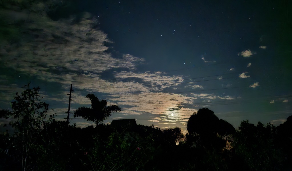 View of the endless night sky during the Coffs Harbour starry night tour, Moonee Beach Nature Reserve. Photo &copy; Starry Night Tours Coffs Harbour