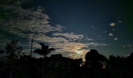 View of the endless night sky during the Coffs Harbour starry night tour, Moonee Beach Nature Reserve. Photo &copy; Starry Night Tours Coffs Harbour