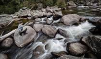 A man fly fishing on a rocky river in Kosciuszko National Park. Credit: Matt Tripet &copy; The Fly Program