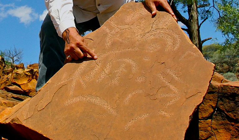 A guide points out etchings on a slab of sand-coloured rock. Photo credit: Janine Gowenlock © Tri State Safaris