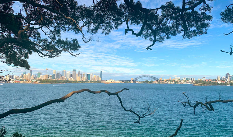 The view of Sydney Harbour through trees on a coastal walk with Urban Walks. Photo: &copy; Urban Walks