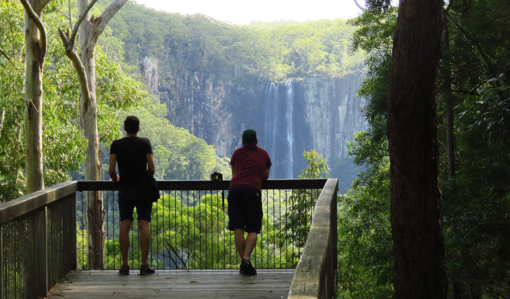 Two hikers looking out into Minyon Valley. Photo: Windy Bithell &copy; Vision Walks Eco Tours