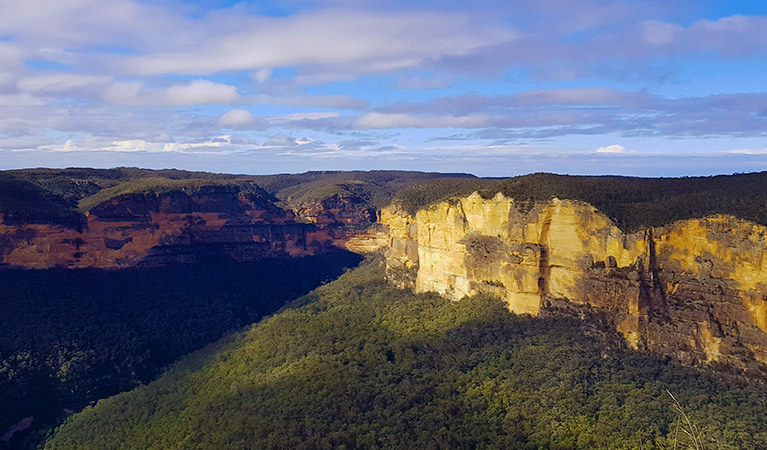 Wide view of Blue Mountains rocky cliff bands, mountain flanks and forest-clad valleys. Photo credit: Ines Gormley &copy; Waratah Adventure Tours