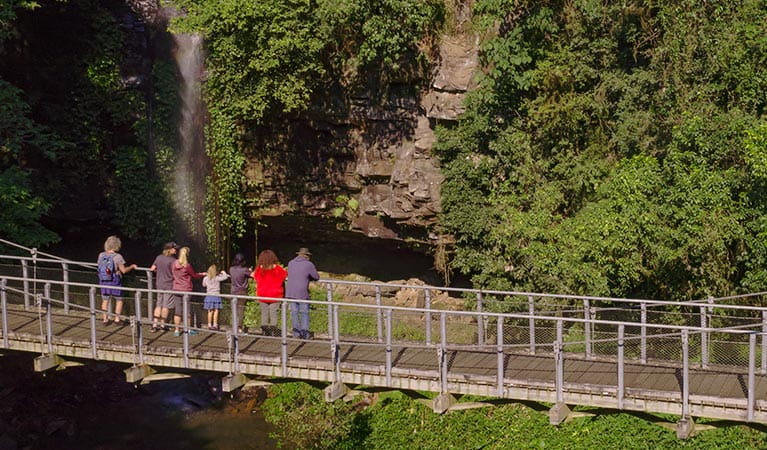 Tour guests enjoy views of a waterfall from a suspension bridge, set amongst lush greenery and rock cliffs. Photo credit: Nathan Litjens &copy; Waves to Wilderness Experiences